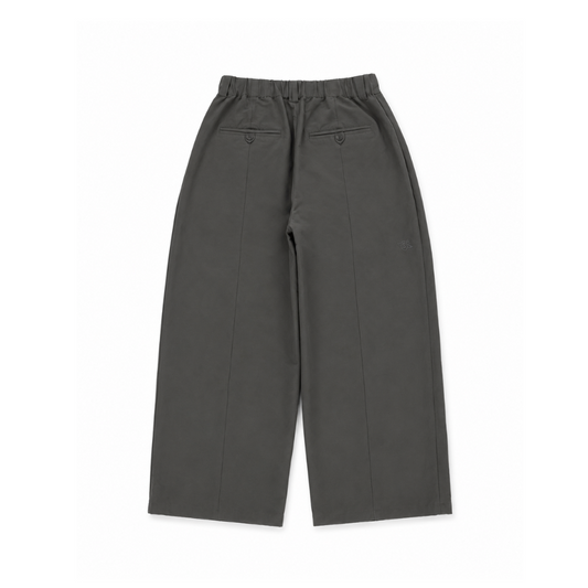 Pleated Climb Pants Stone